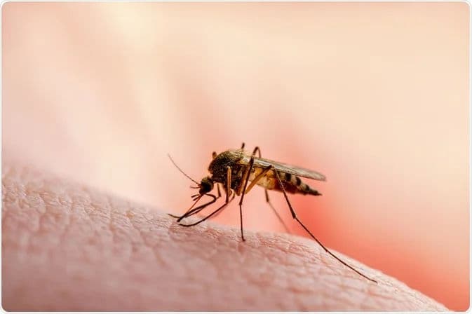 Nigeria's Malaria Challenge: More Than Just Bed Nets